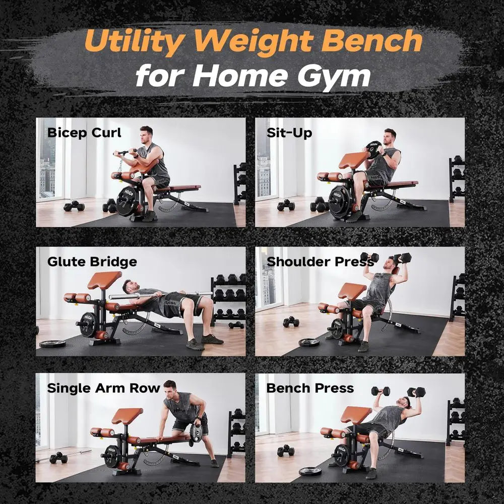 Weight Bench with Preacher Curl and Leg Extension.