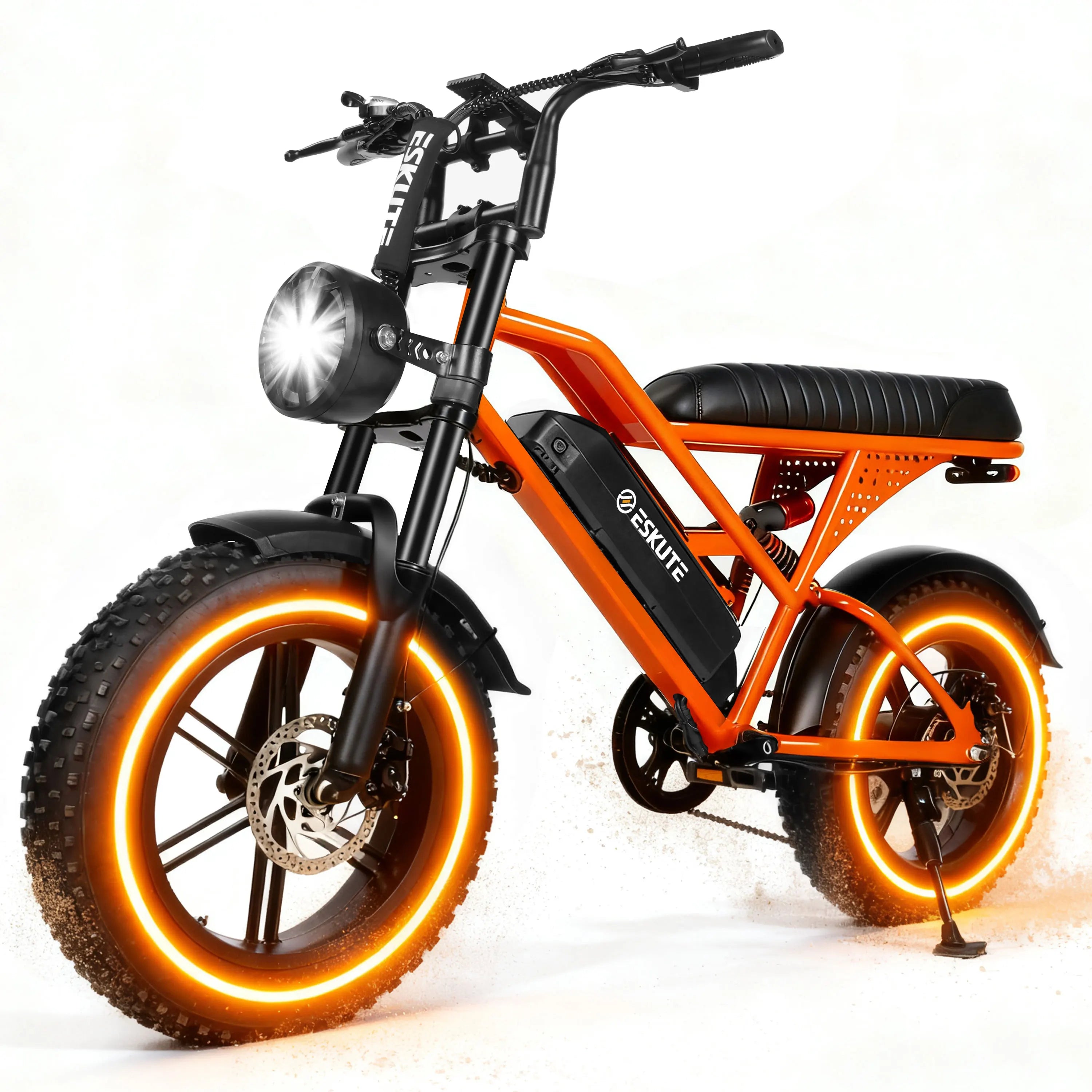 V100 Electric Bike, 1500W Peak 28MPH 48V13Ah Motorcycle.