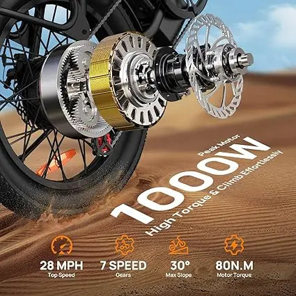 1000W E20 Electric Bike.
