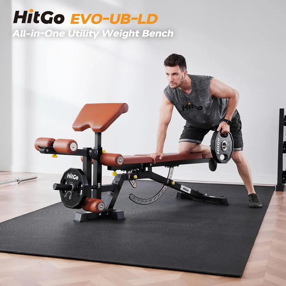 Weight Bench with Preacher Curl and Leg Extension.
