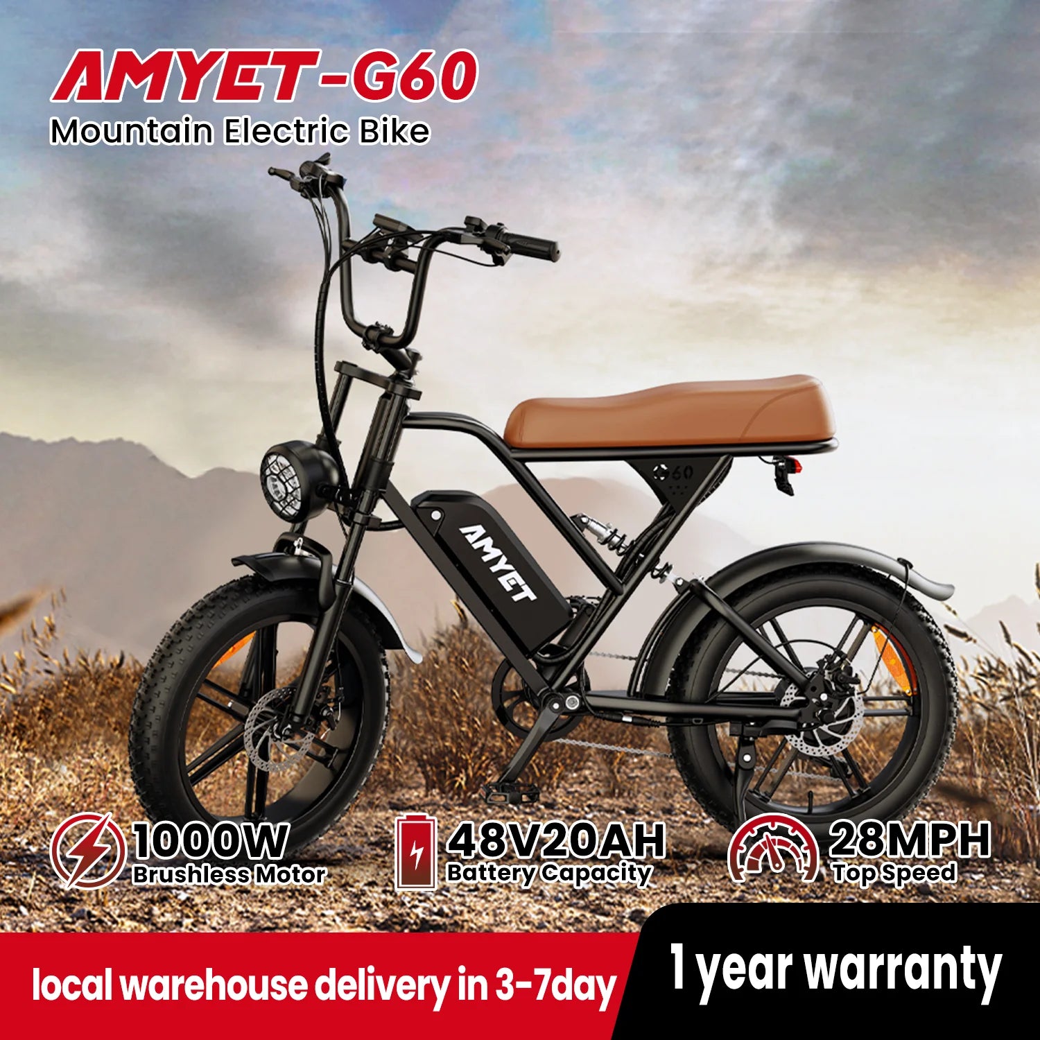AMYET V9-G60 Adults Electric Bike.