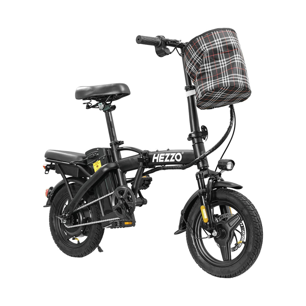 Adult Electric Bike, 20 MPH,560W Motor,48V Removable Battery.